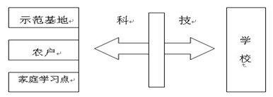 建设“三新”示范基地 引领家庭农场的发展