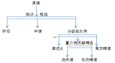 炼焦煤的分选工艺流程现状及发展趋势