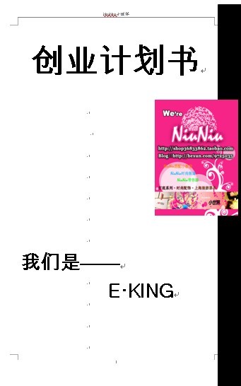 网店创业计划书——NiuNiu小世界淘宝网店